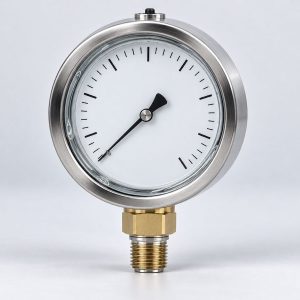 Stainless steel liquid-filled pressure gauge on a light studio sweep